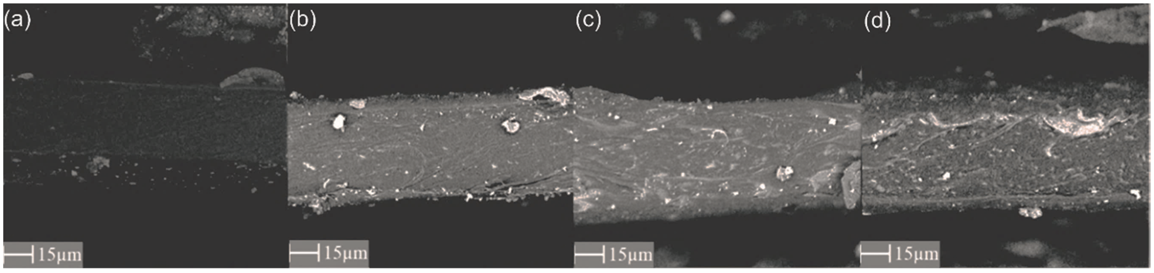 Materials 15 06455 g005