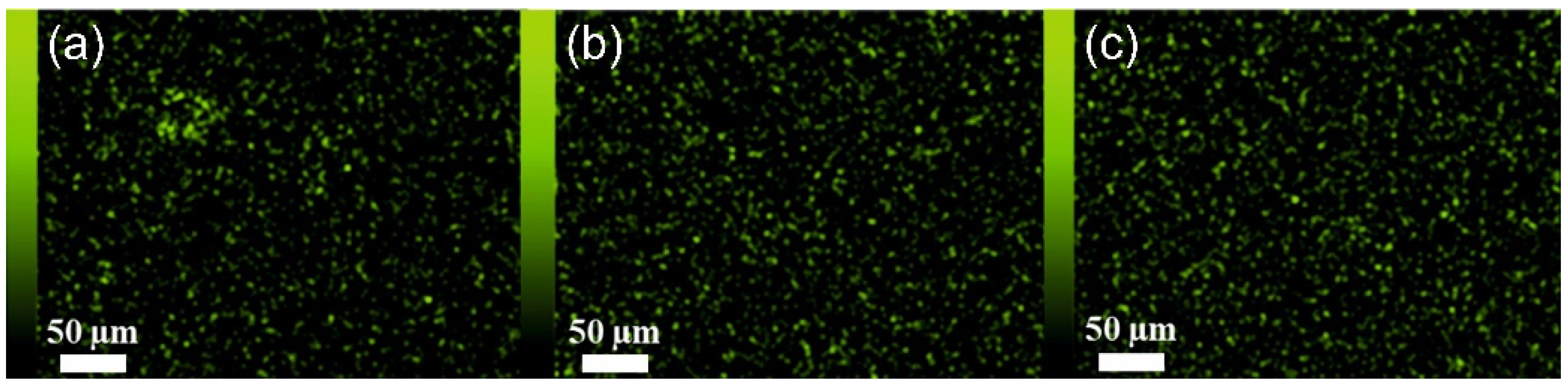 Materials 15 06455 g007