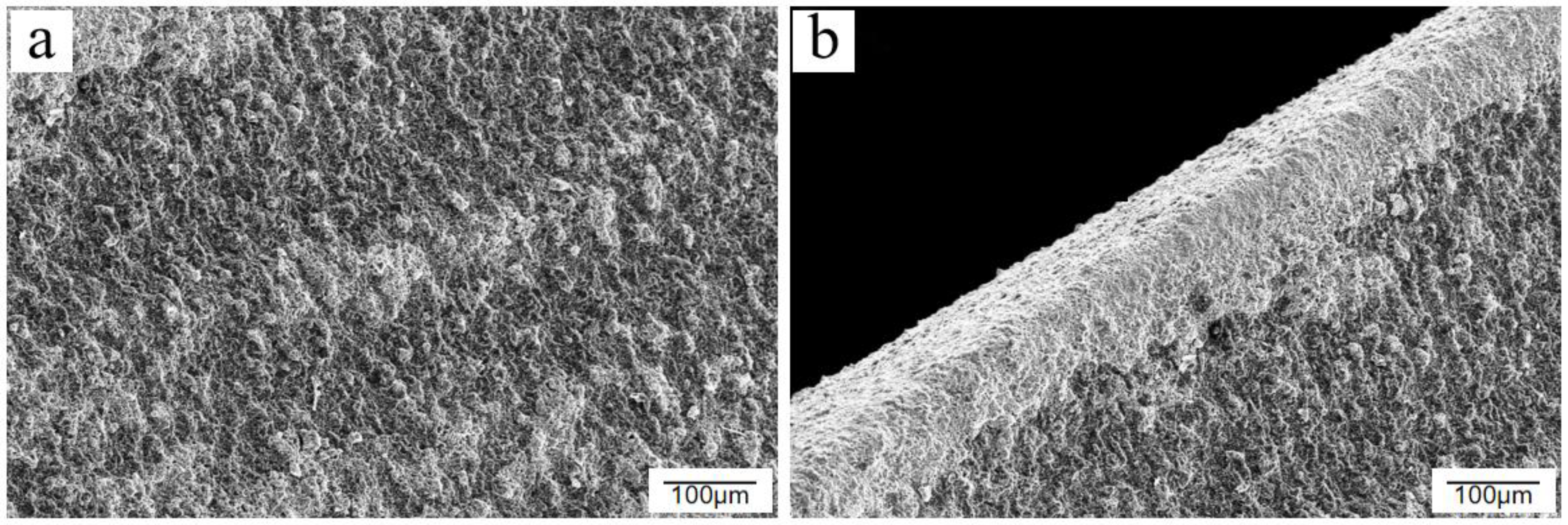 Materials 15 06502 g004