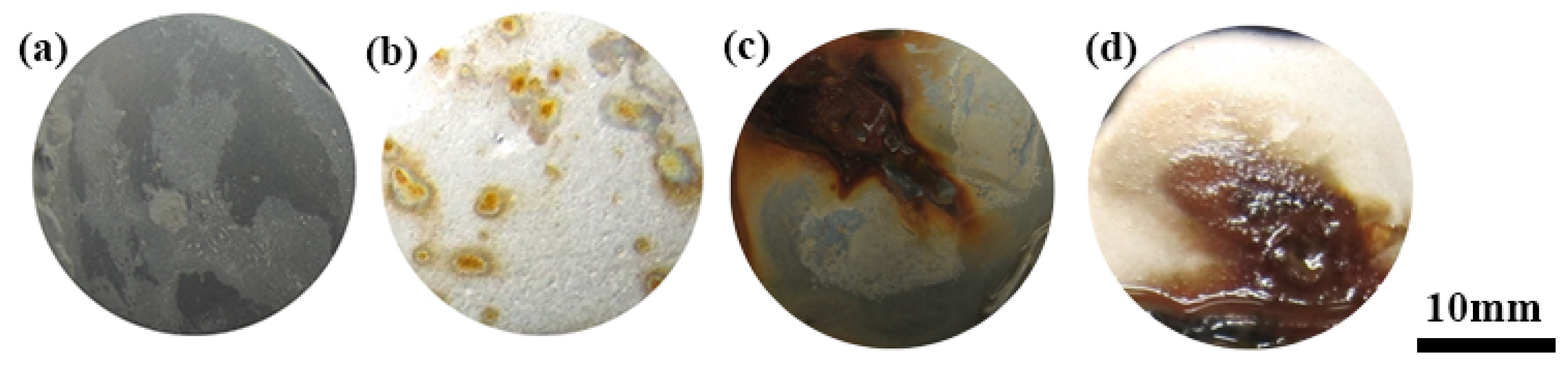 Materials 15 06575 g010