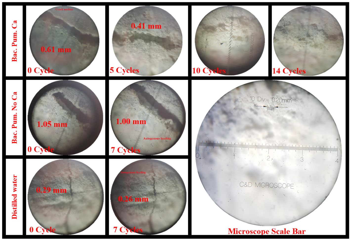 Materials 15 06616 g010