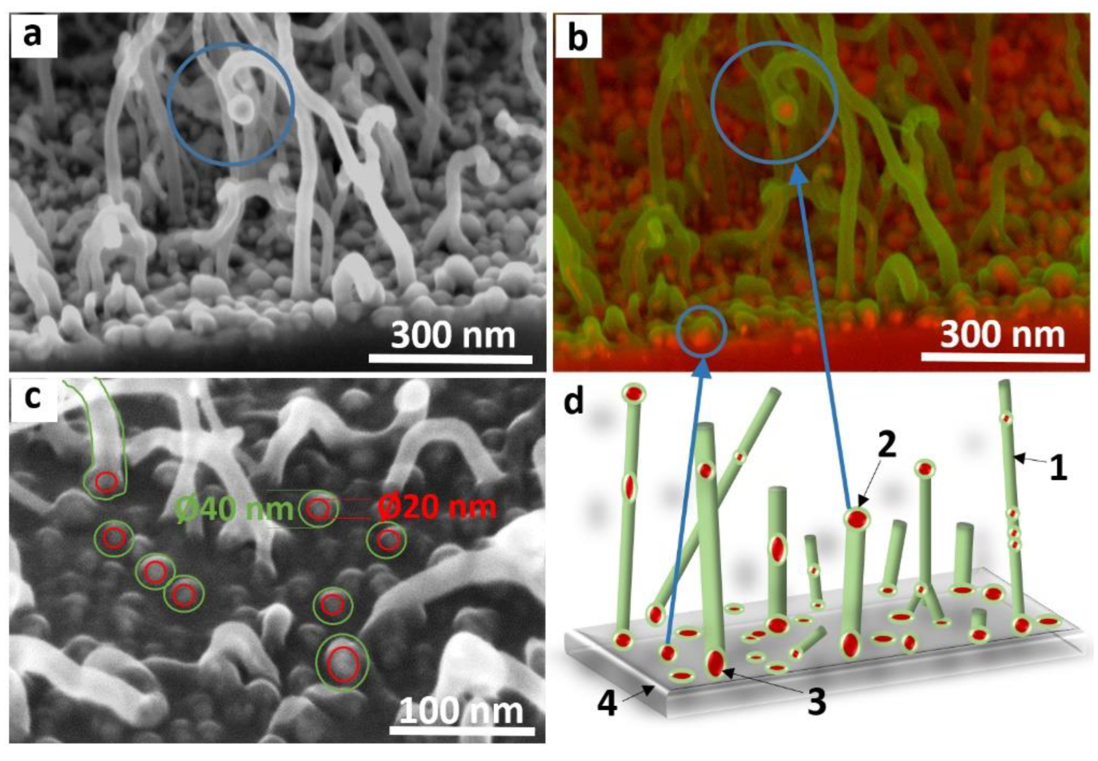 Materials 15 06639 g005 Materials 15 06639 g005