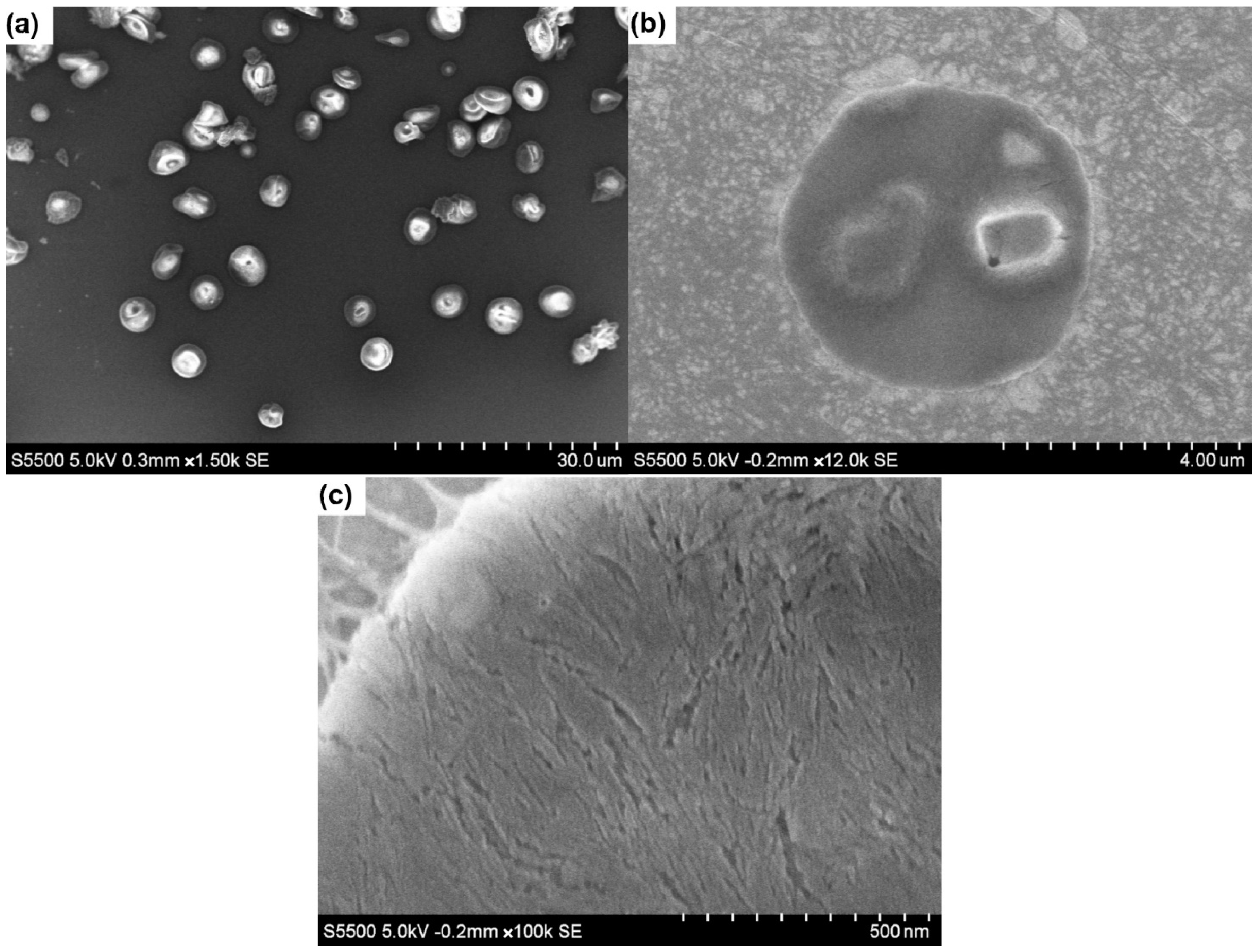 Materials 15 06673 g008