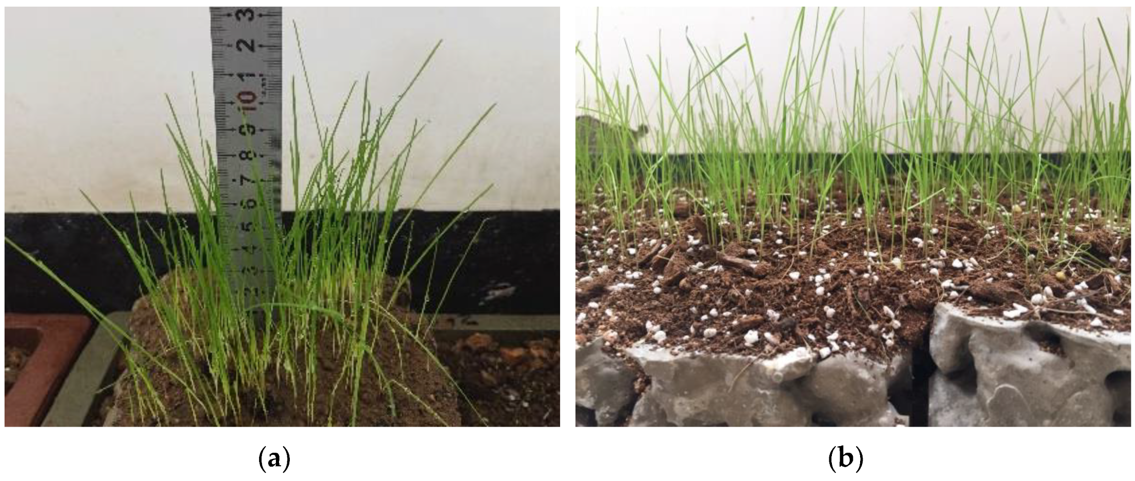 Materials 15 06685 g013 Materials 15 06685 g013