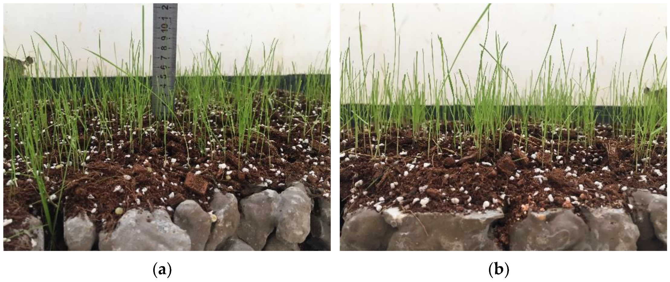 Materials 15 06685 g014 Materials 15 06685 g014