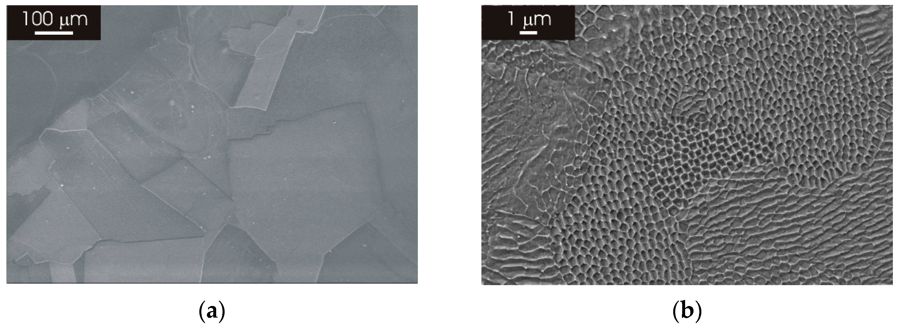 Materials 15 06768 g002