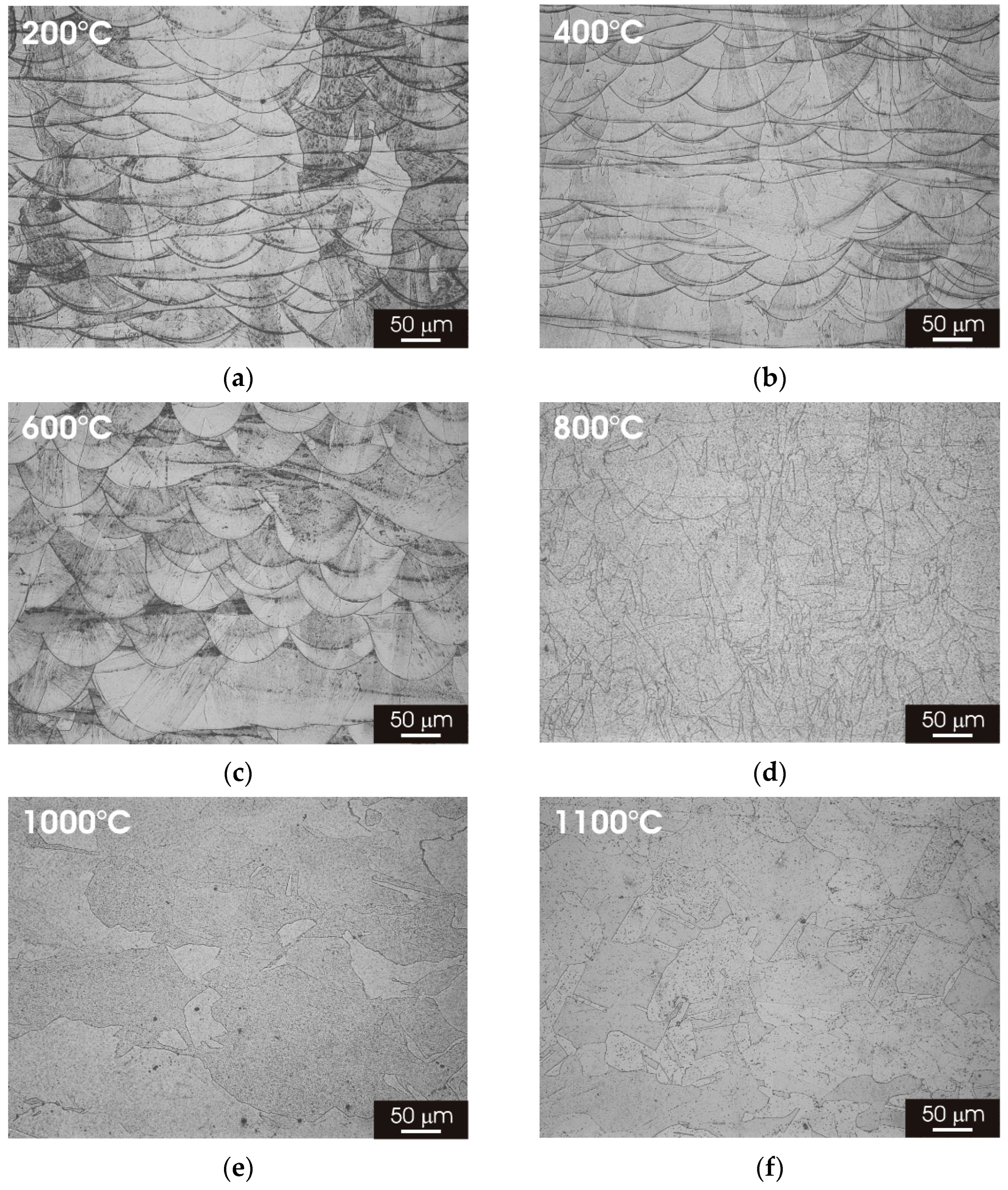 Materials 15 06768 g005