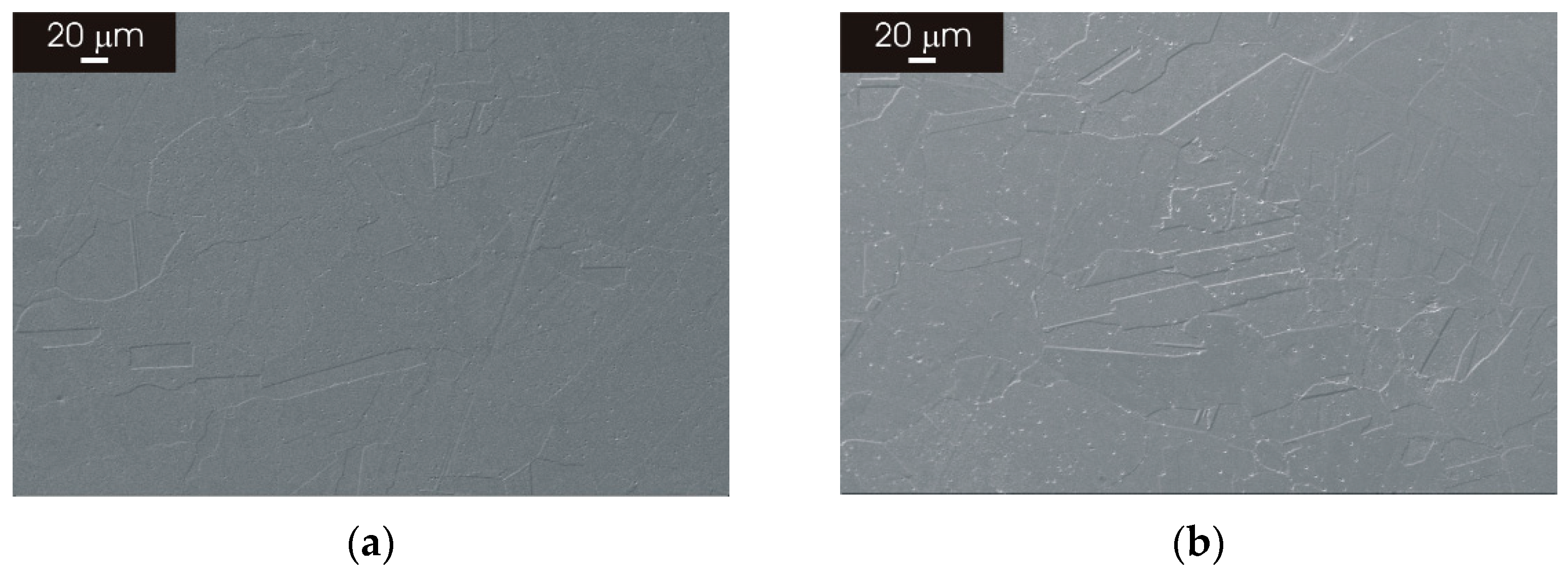 Materials 15 06768 g010