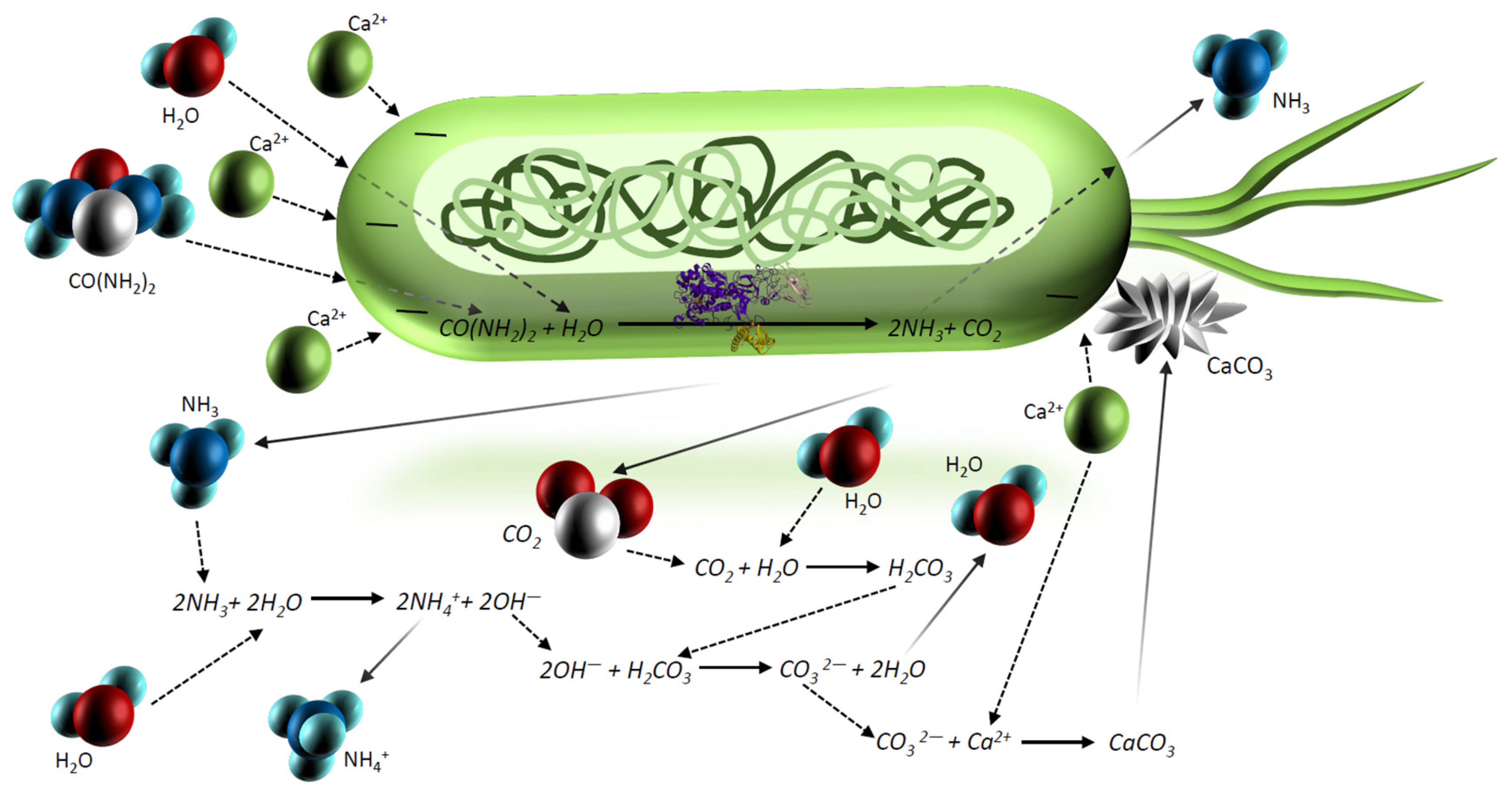 Materials 15 06878 g002 Materials 15 06878 g002