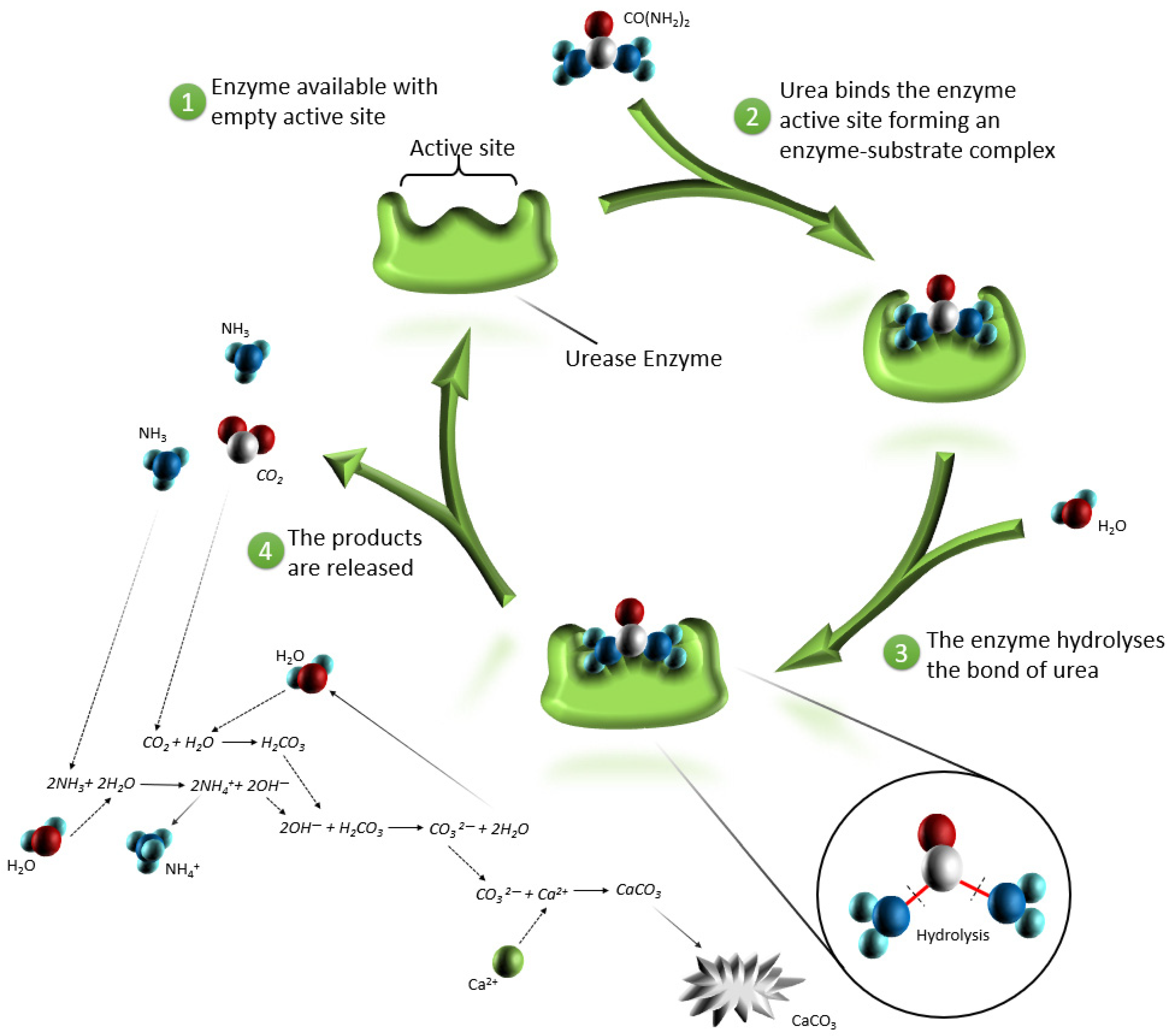 Materials 15 06878 g004 Materials 15 06878 g004