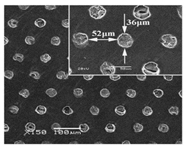Materials 15 06945 i001 Materials 15 06945 i001