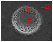 Materials 15 06945 i003 Materials 15 06945 i003