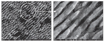 Materials 15 06945 i007 Materials 15 06945 i007