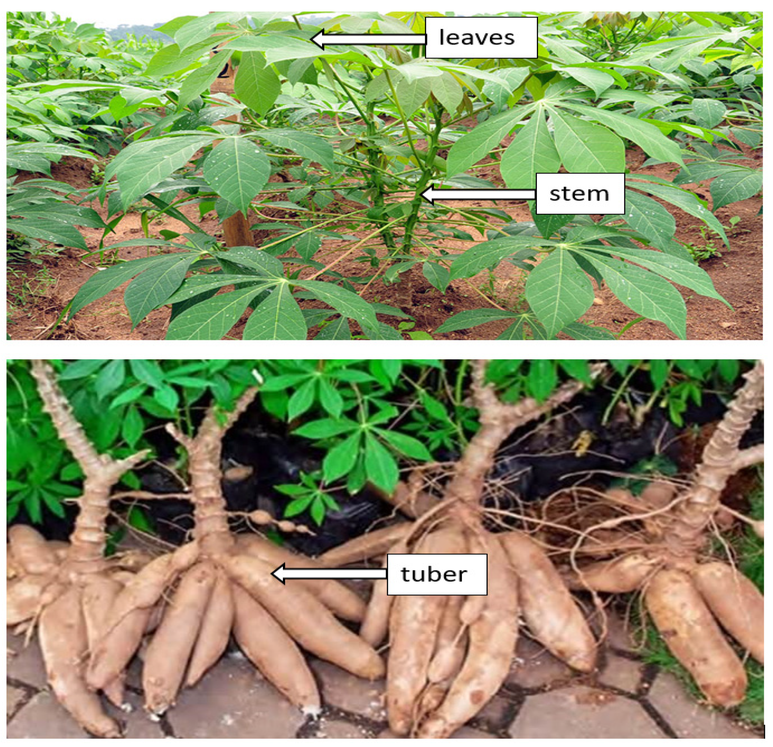 Materials 15 06992 g003