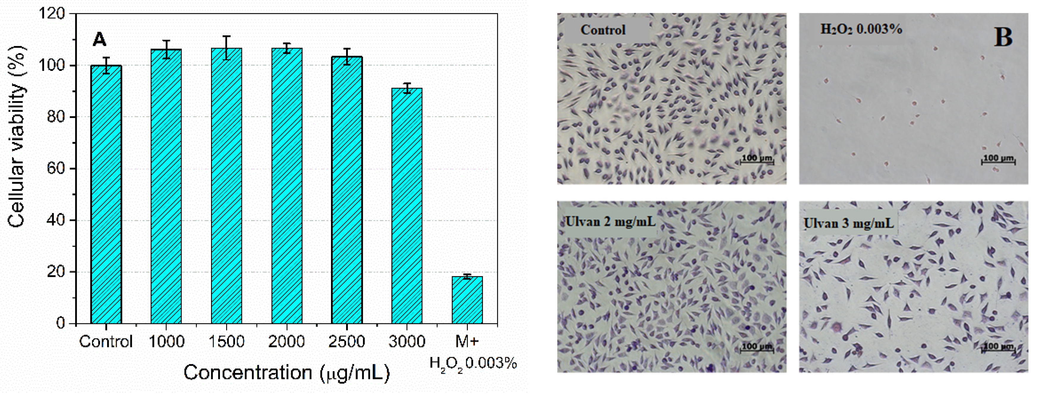 Materials 15 07003 g009