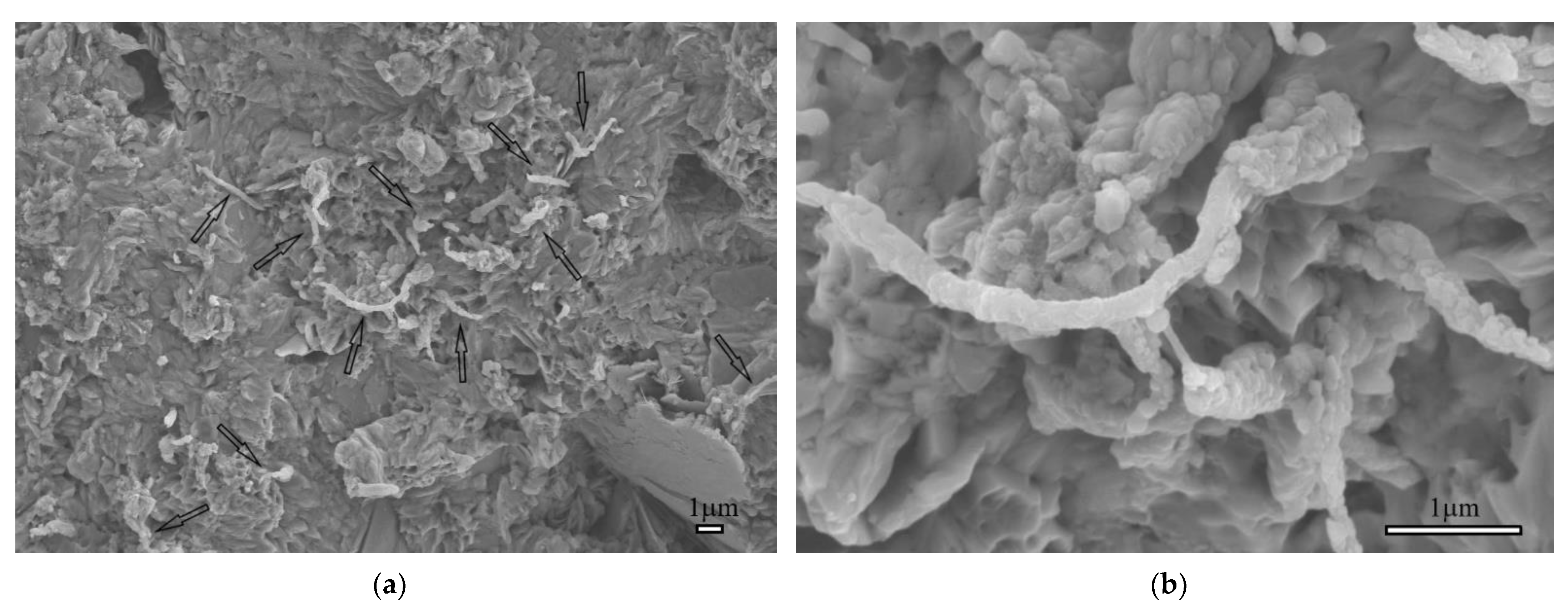 Materials 15 07011 g004 Materials 15 07011 g004