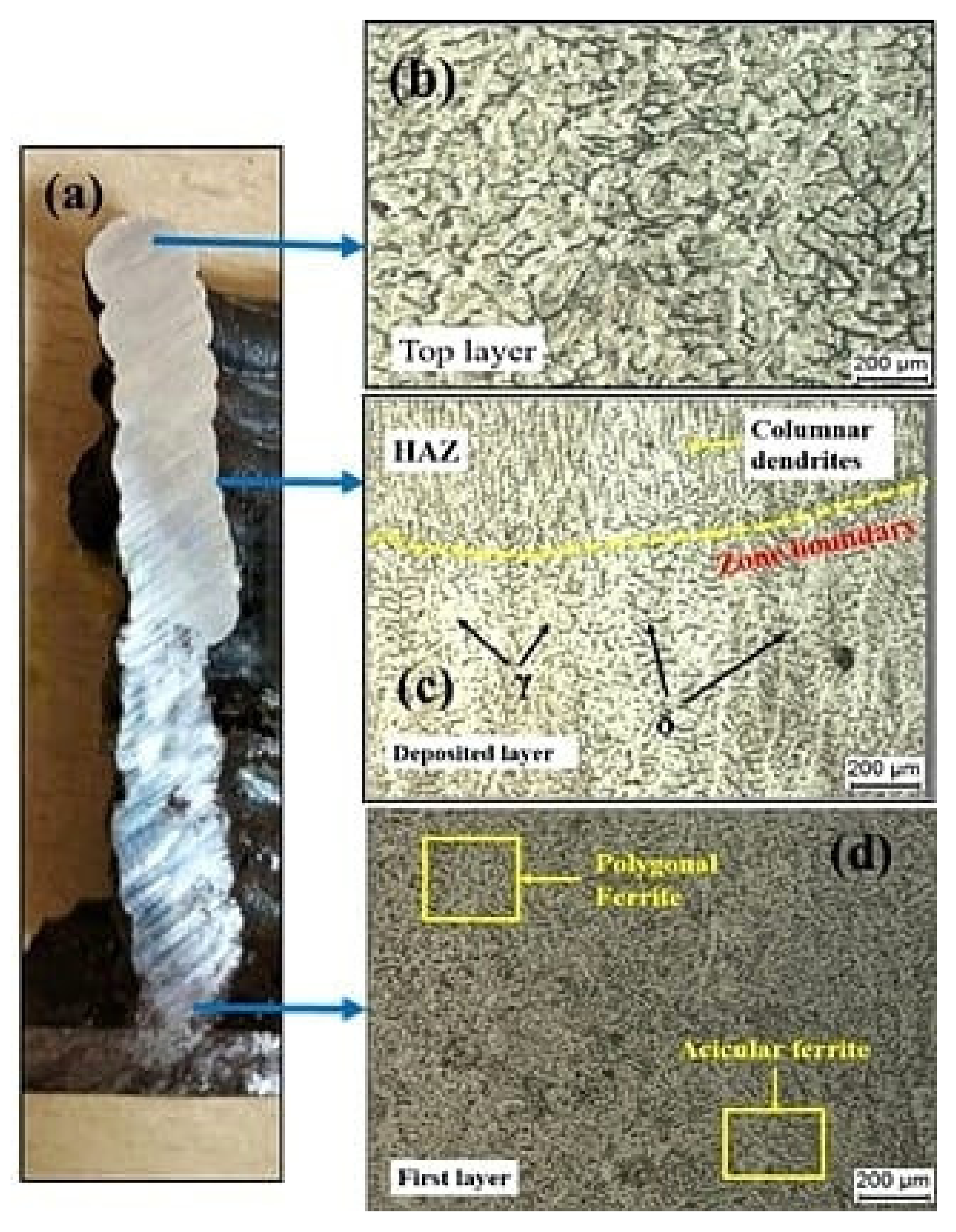 Materials 15 07094 g014