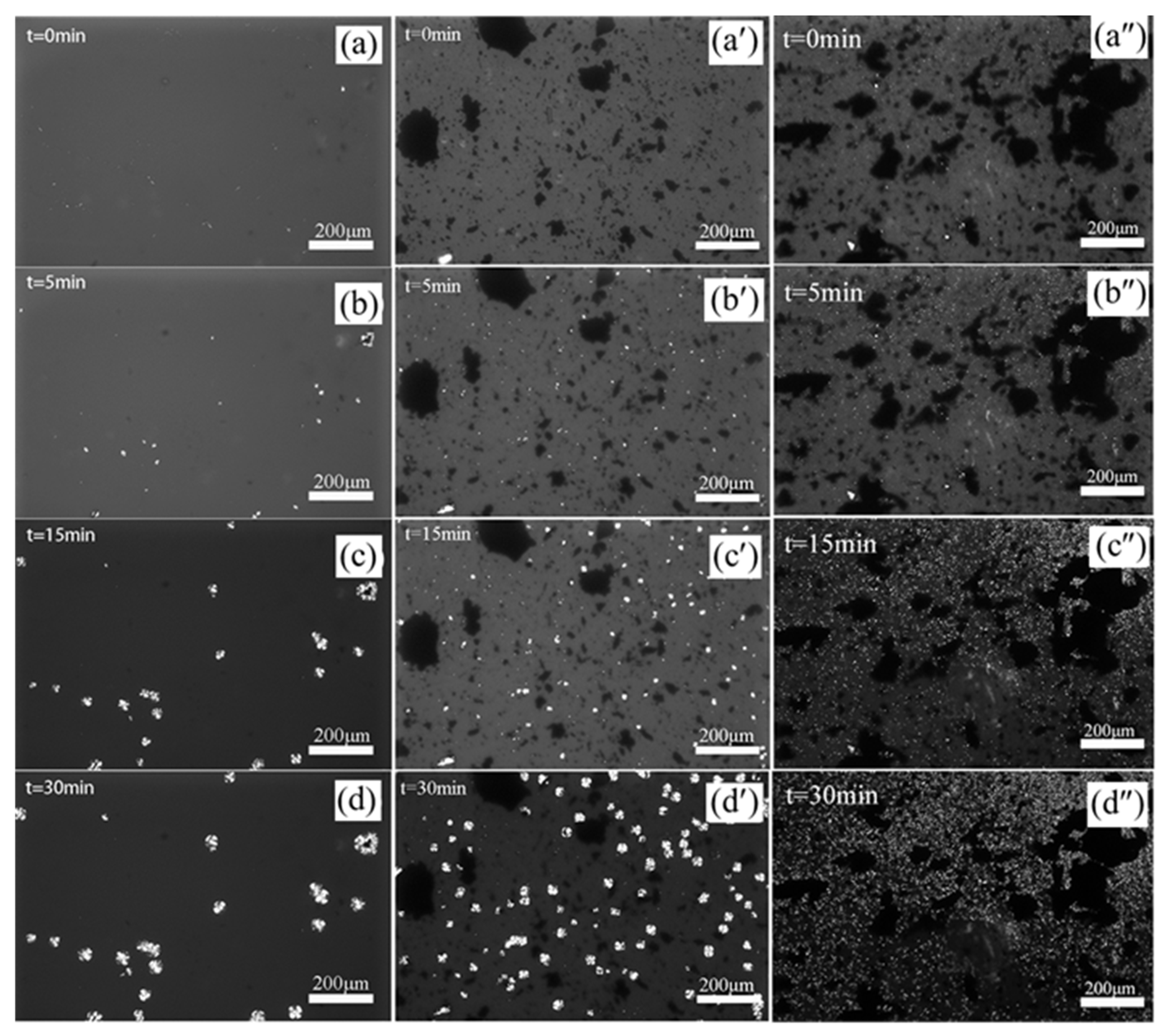 Materials 15 07095 g007