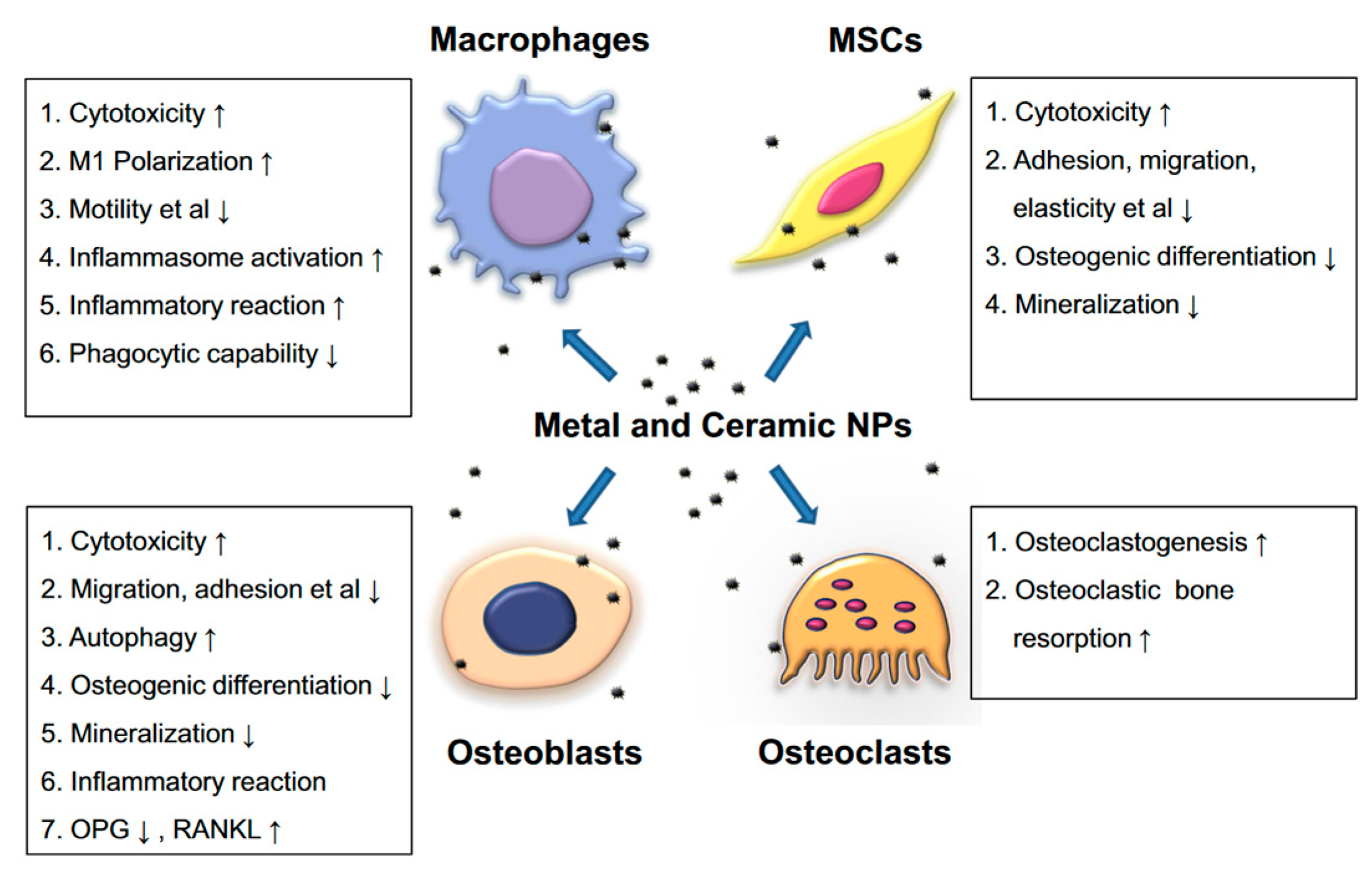 Materials 15 07102 g001 Materials 15 07102 g001