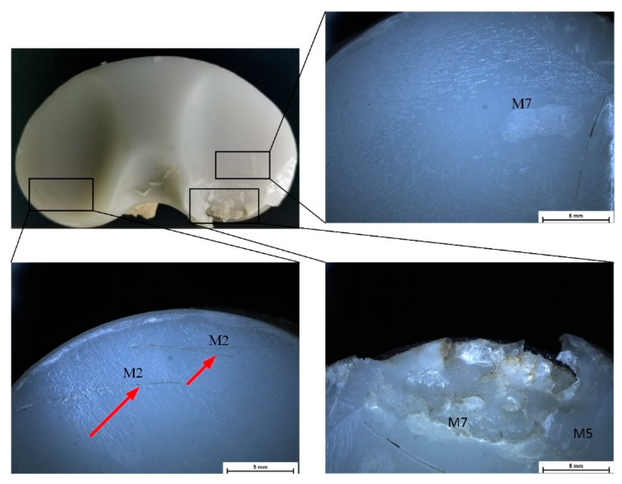 Materials 15 07102 g004 Materials 15 07102 g004
