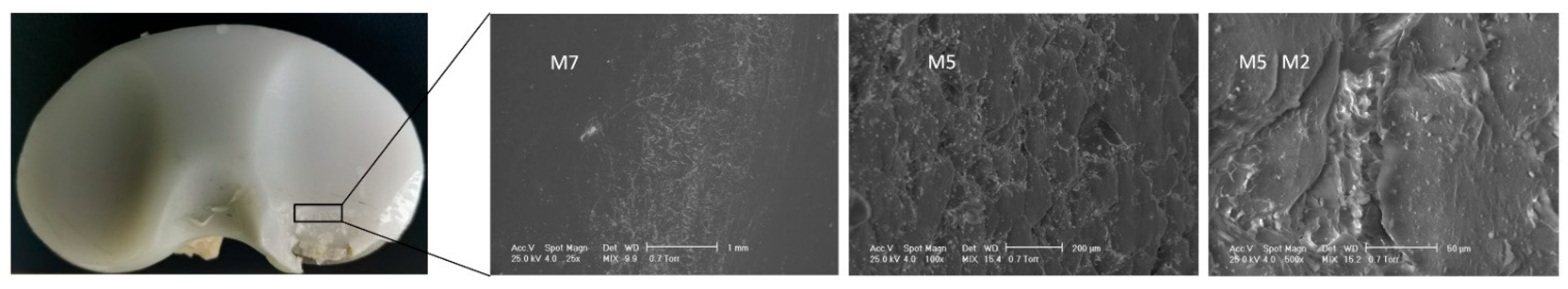 Materials 15 07102 g008 Materials 15 07102 g008