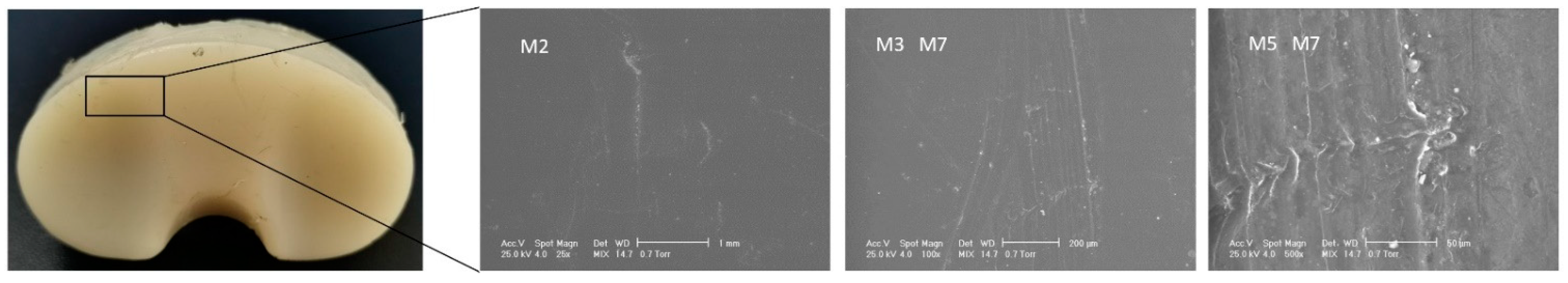 Materials 15 07102 g009 Materials 15 07102 g009