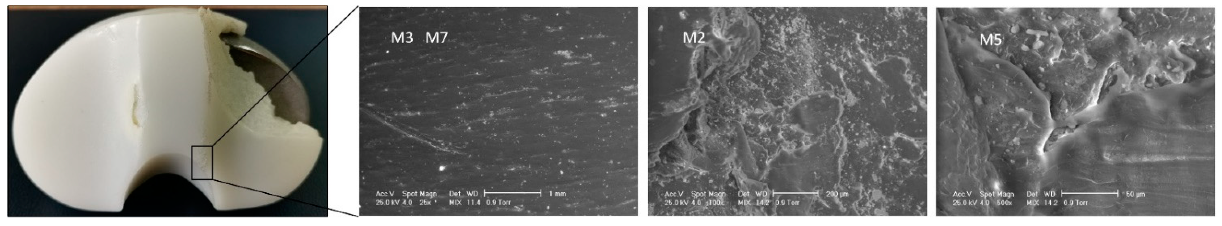 Materials 15 07102 g011 Materials 15 07102 g011