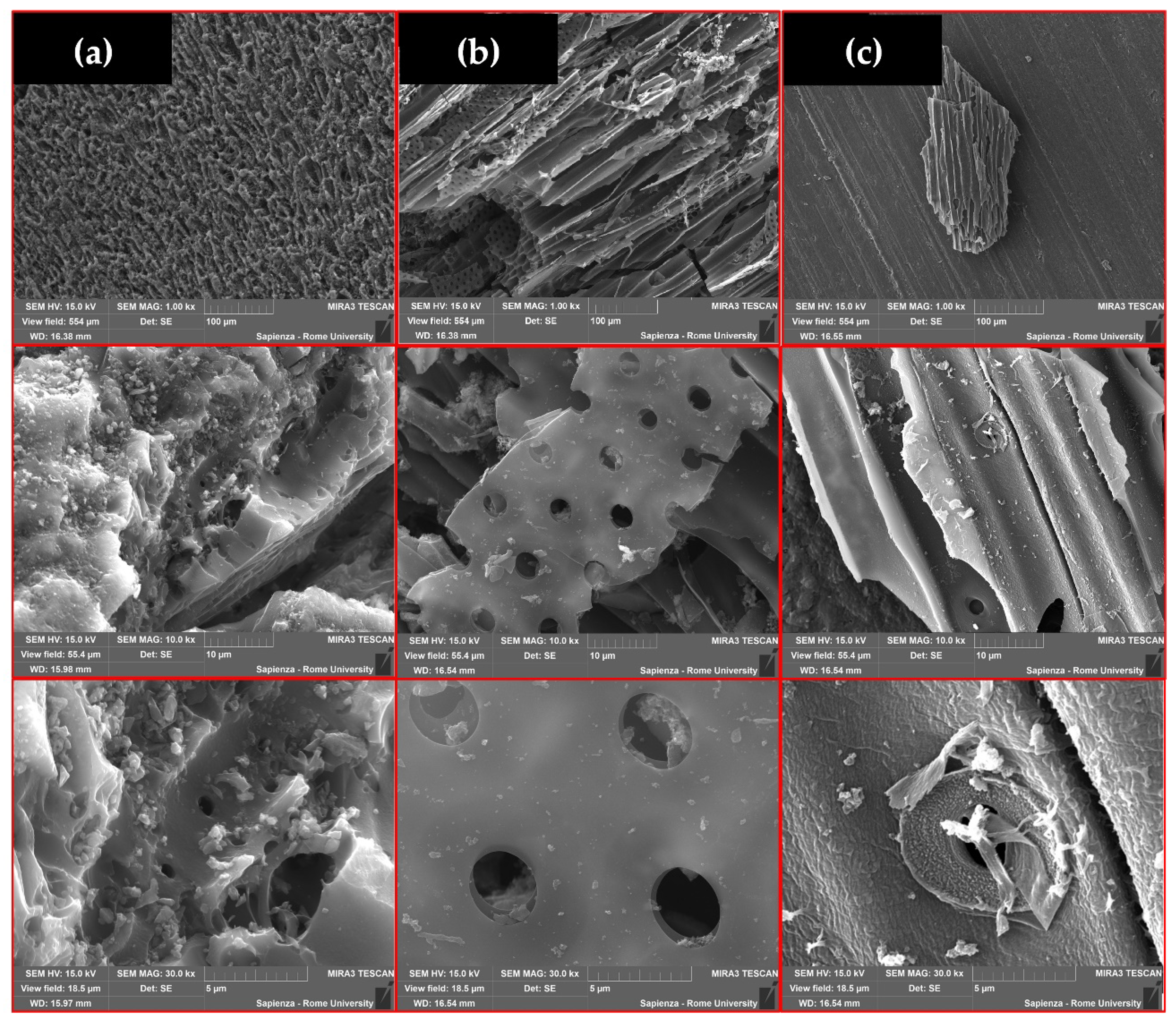 Materials 15 07162 g006 Materials 15 07162 g006