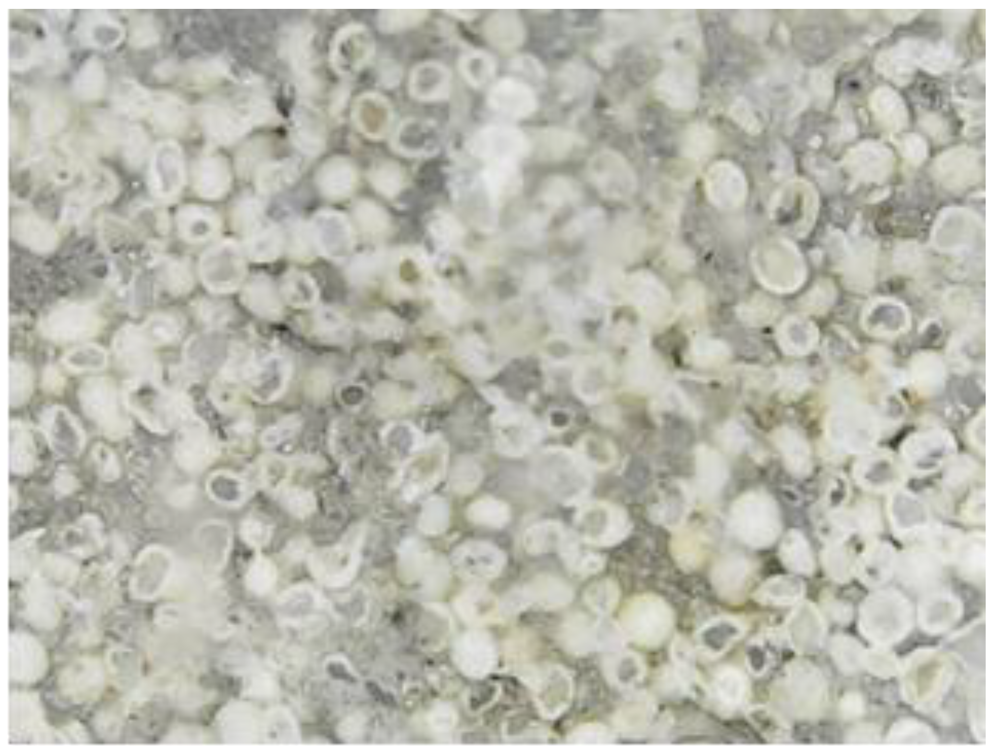 Materials 15 07178 g004