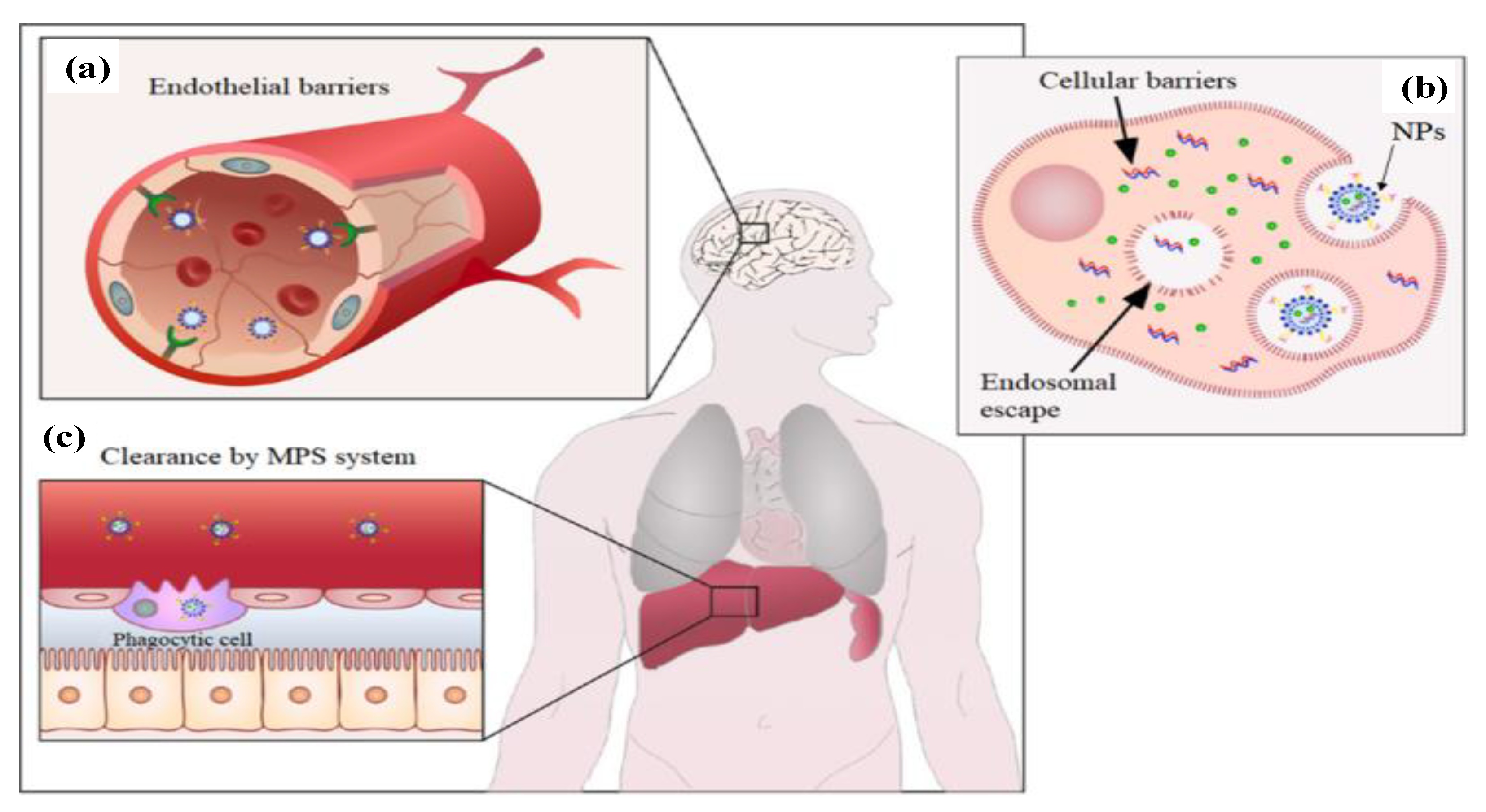 Materials 15 07215 g002