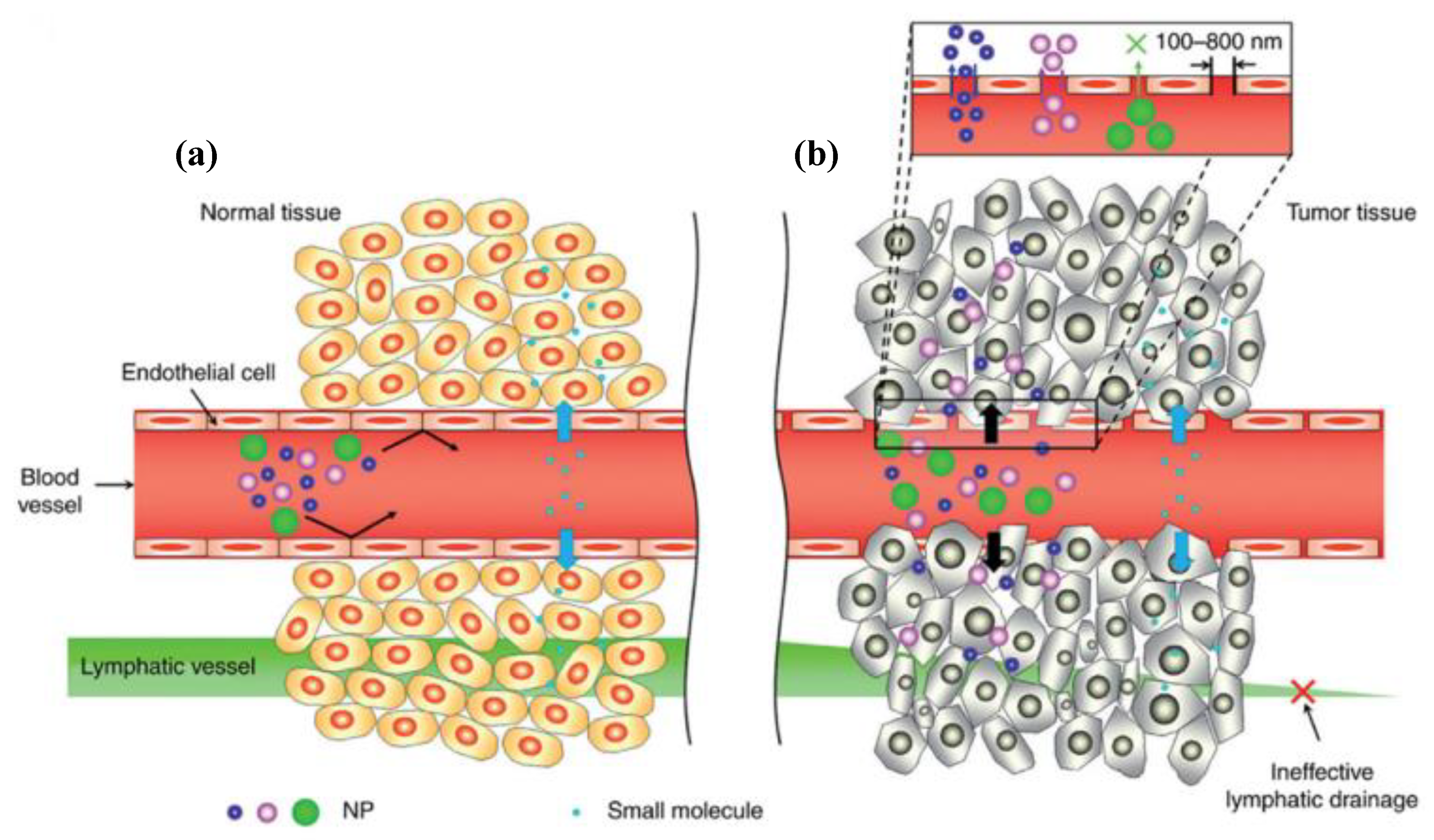 Materials 15 07215 g003