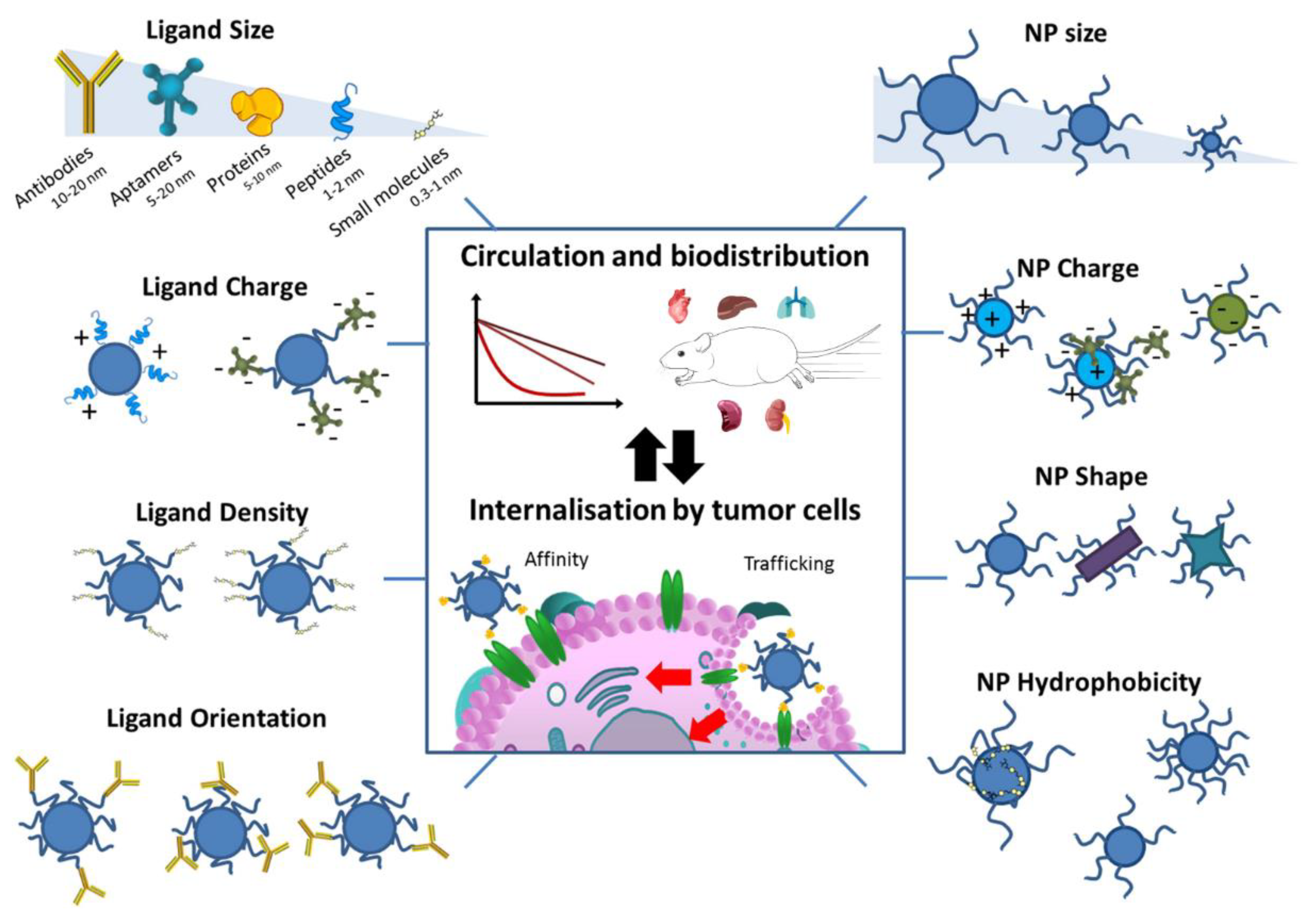 Materials 15 07215 g005