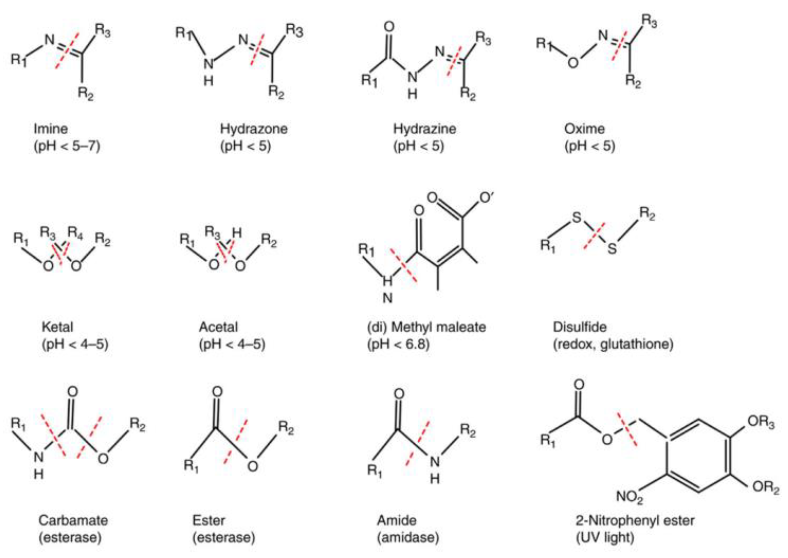 Materials 15 07215 g006