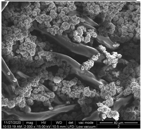 Materials 15 07286 i005 Materials 15 07286 i005