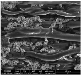 Materials 15 07286 i006 Materials 15 07286 i006