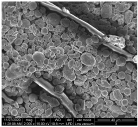 Materials 15 07286 i008 Materials 15 07286 i008