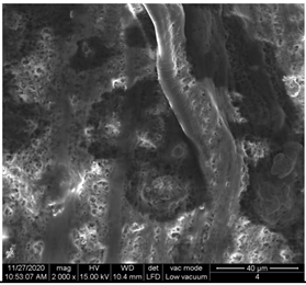 Materials 15 07286 i011 Materials 15 07286 i011