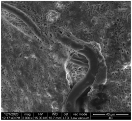 Materials 15 07286 i012 Materials 15 07286 i012