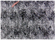 Materials 15 07286 i017 Materials 15 07286 i017