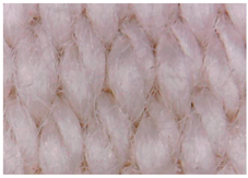 Materials 15 07286 i022 Materials 15 07286 i022