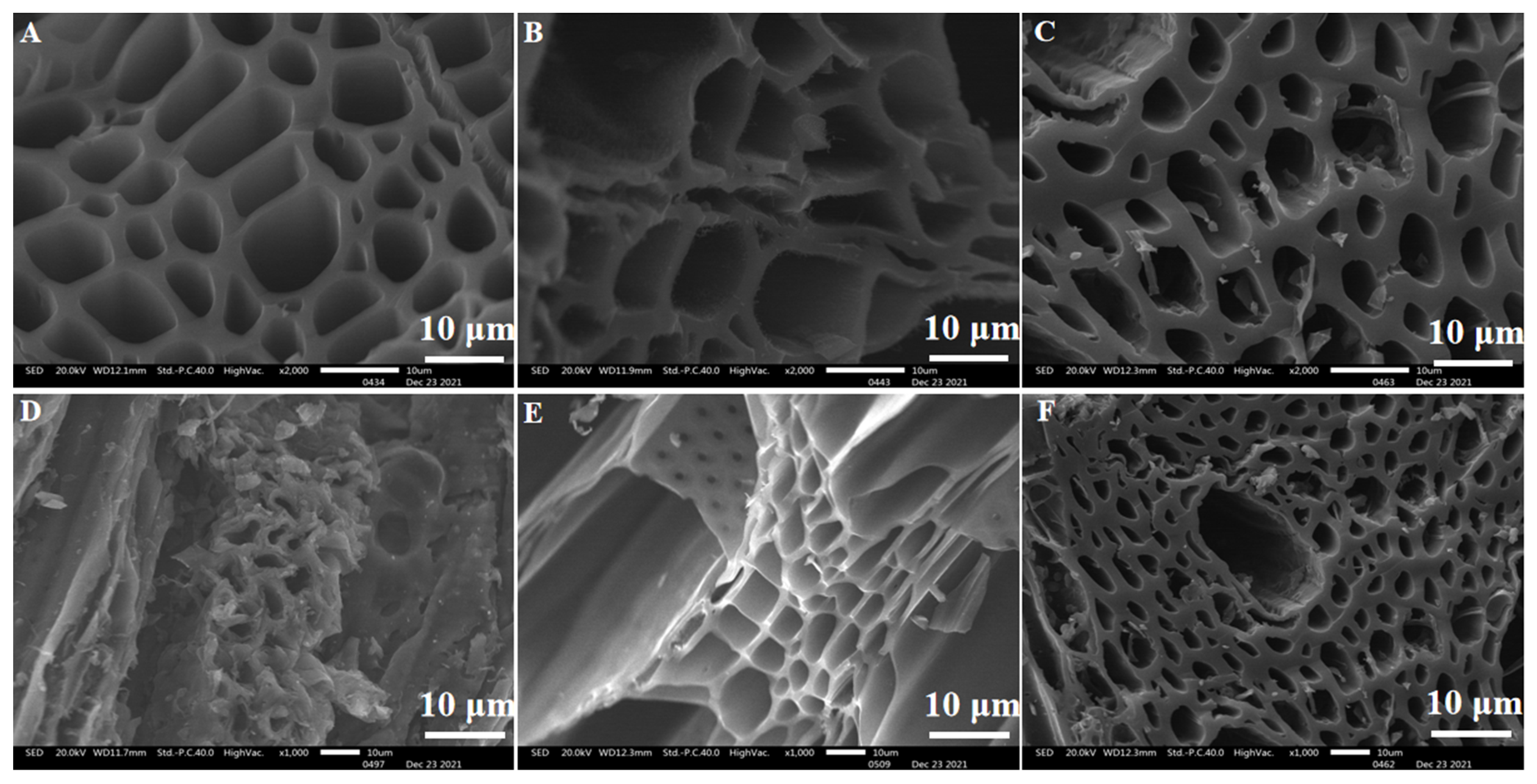 Materials 15 07300 g005