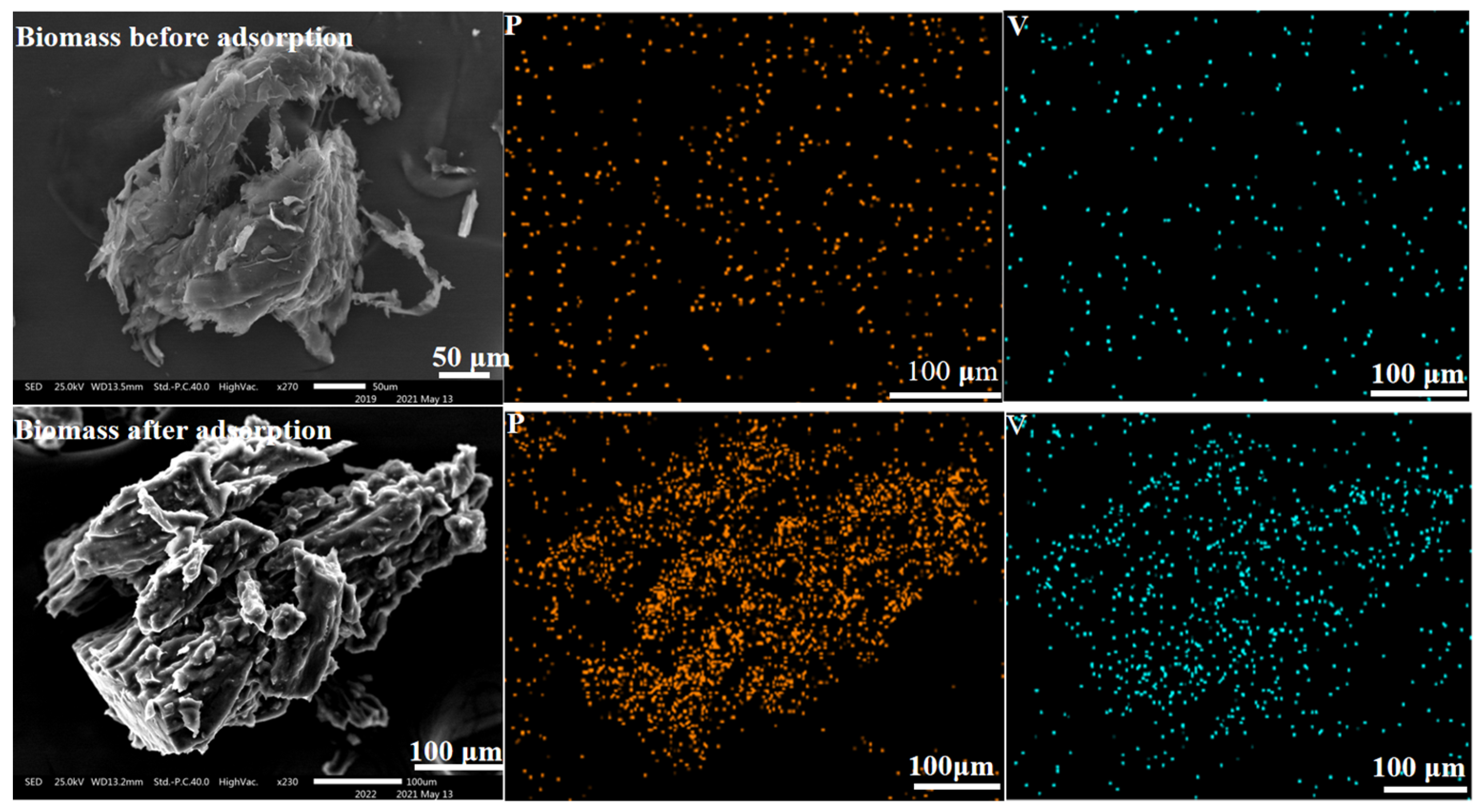Materials 15 07300 g007