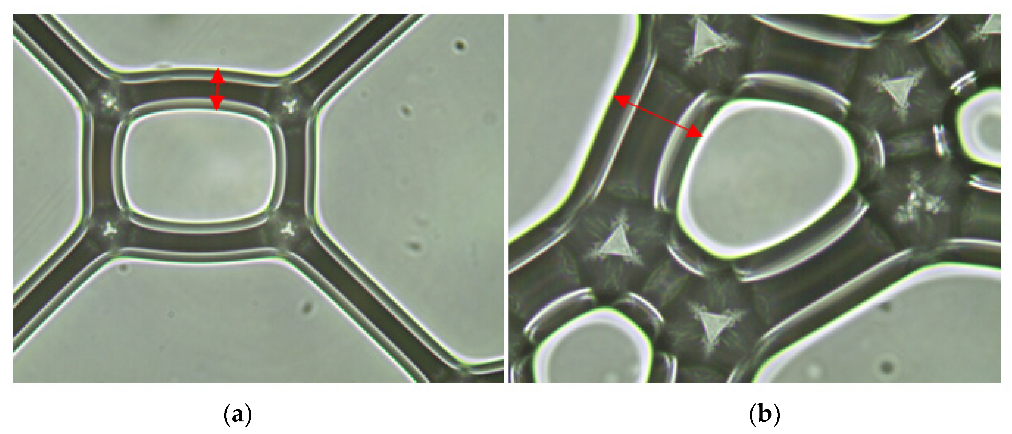 Materials 15 07384 g007 Materials 15 07384 g007