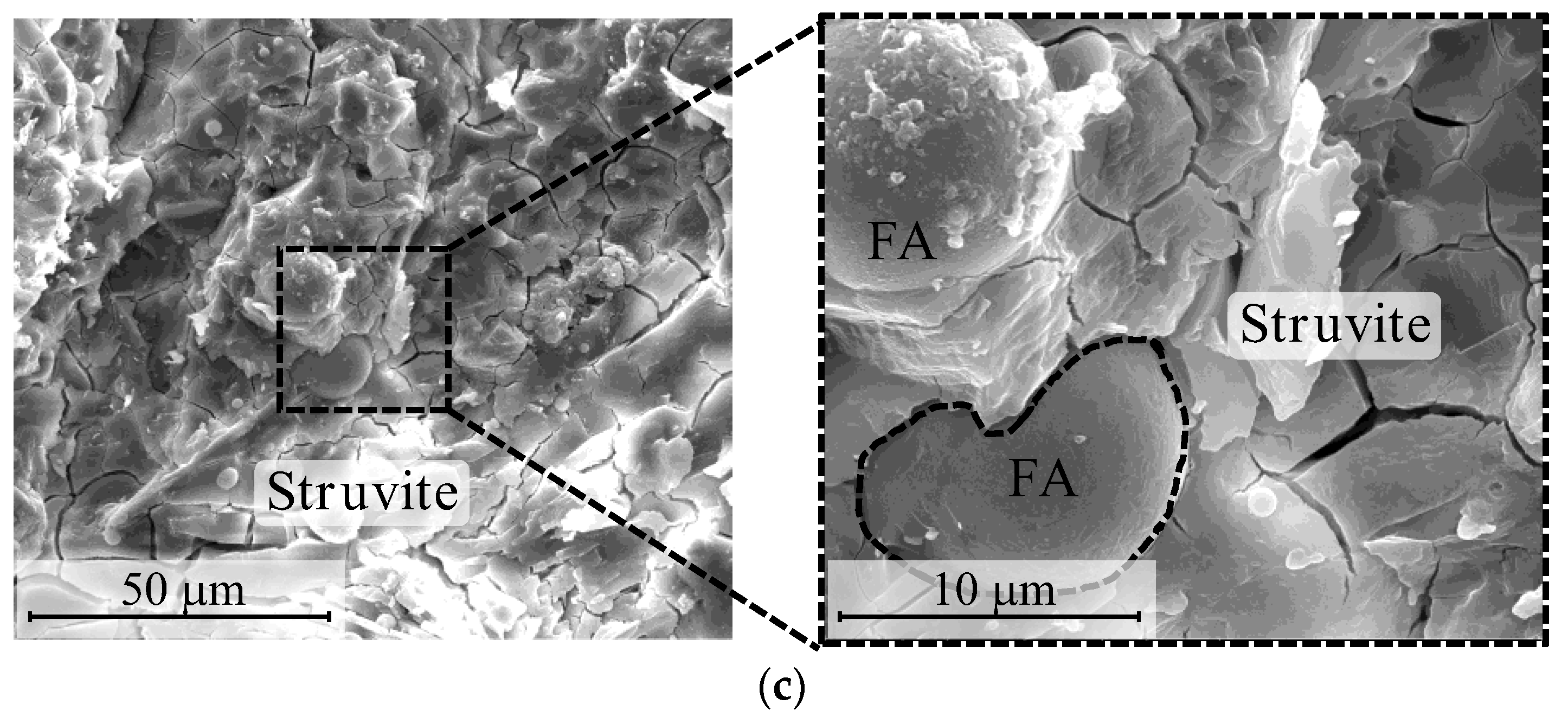 Materials 15 07521 g006b