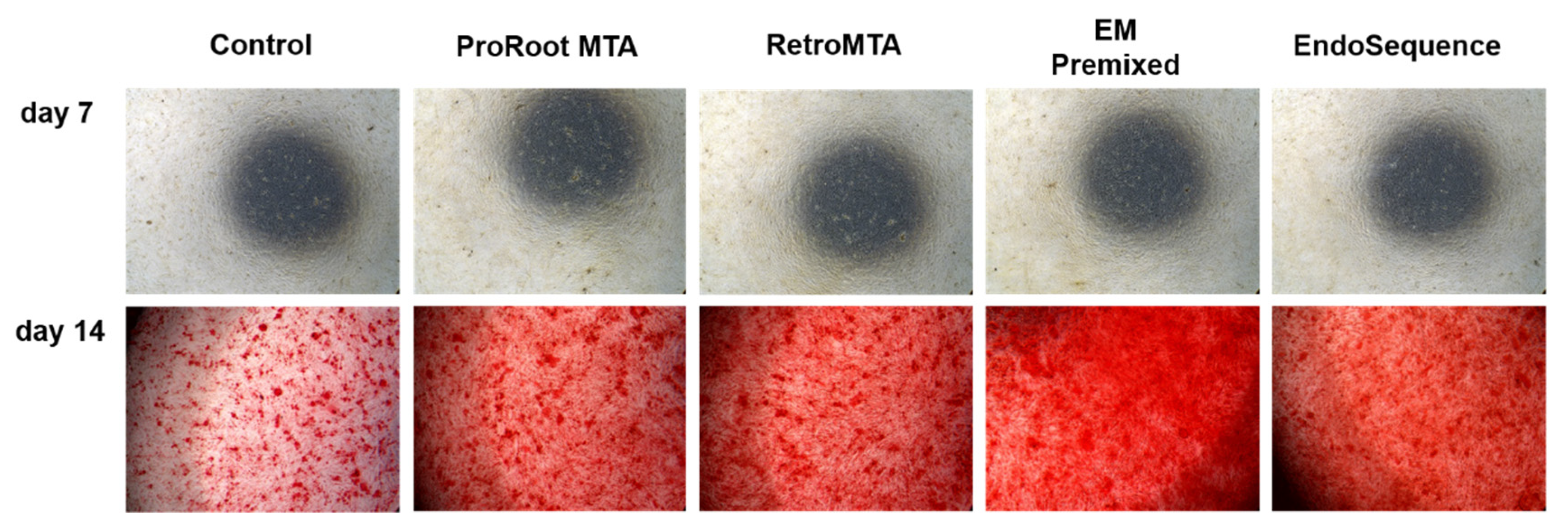 Materials 15 07595 g008 Materials 15 07595 g008