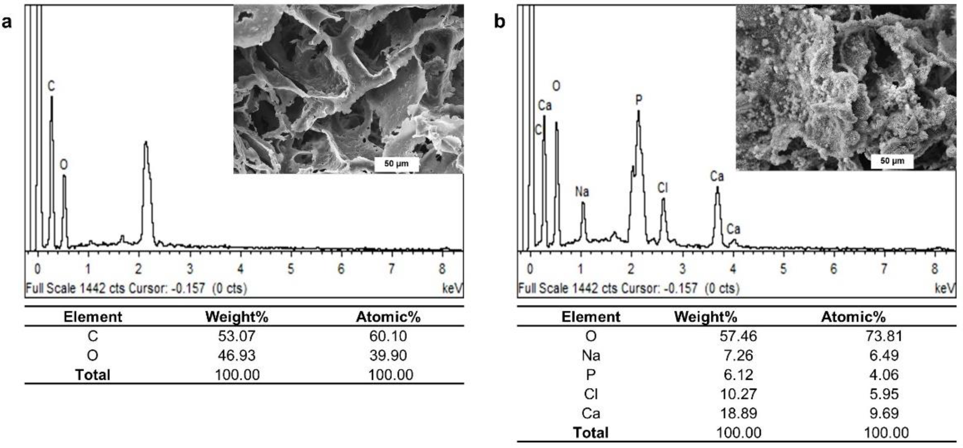Materials 15 07756 g006