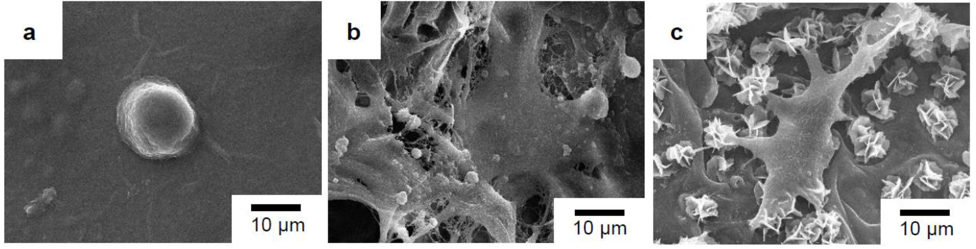 Materials 15 07756 g012