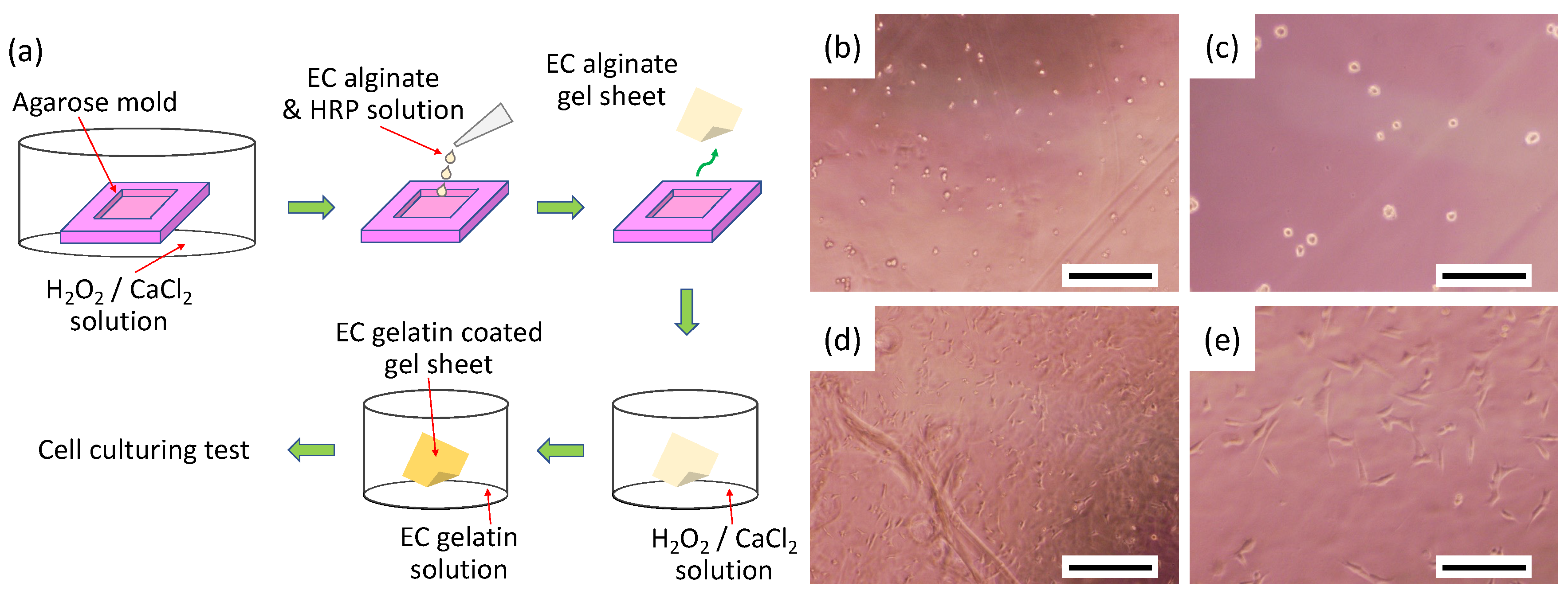Materials 15 07928 g003 Materials 15 07928 g003