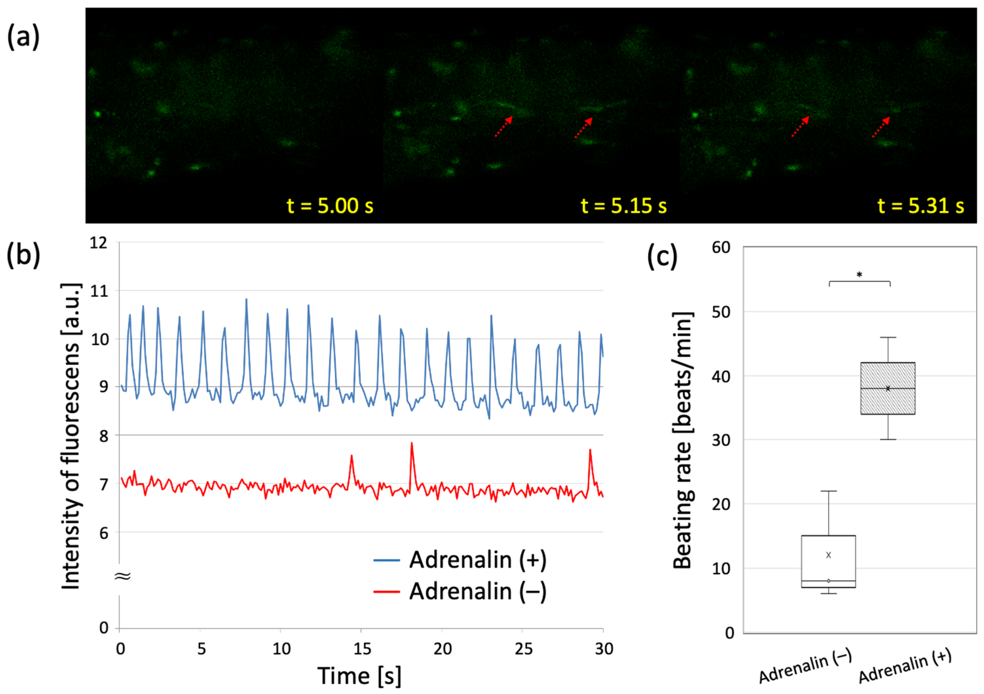 Materials 15 07928 g007 Materials 15 07928 g007