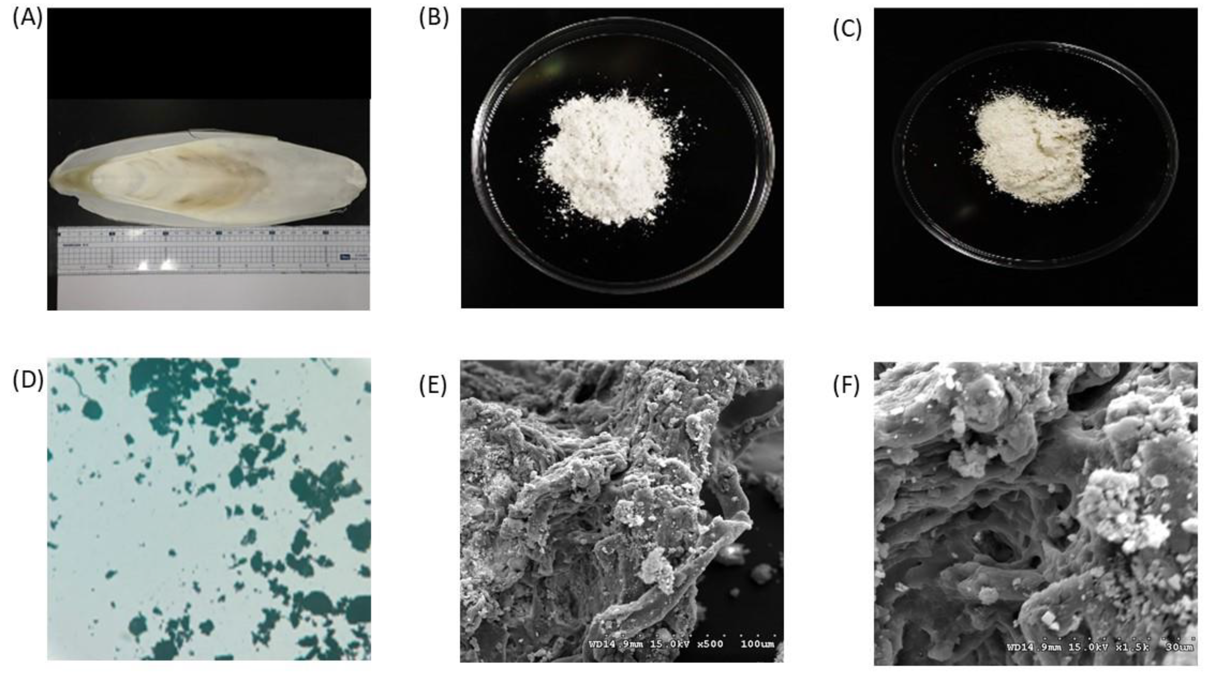 Materials 15 07969 g005 Materials 15 07969 g005